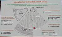 04 - Des plantes utilitaires au 19e siecle.jpg
